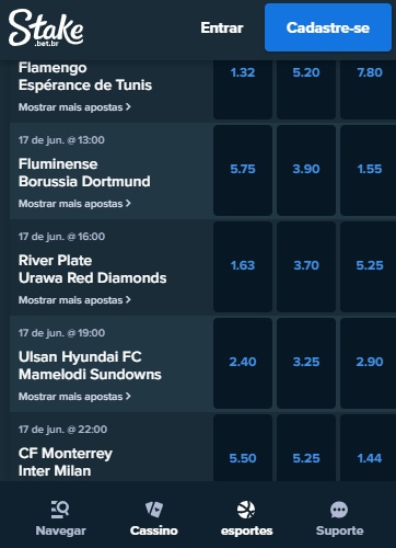 print da tela de melhores sites de apostas mundial de clubes da Stake pelo celular