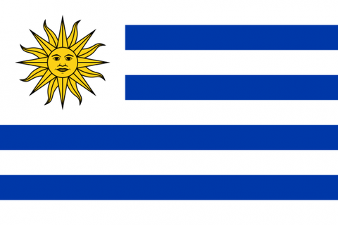 800px-Flag_of_Uruguay_svg