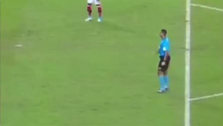 Comemorou? Imagem mostra gesto suspeito de árbitro no gol de Guerrero