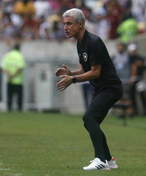 Técnico do Botafogo reclama de pênalti e pede