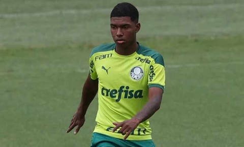 Luiz Freitas Palmeiras