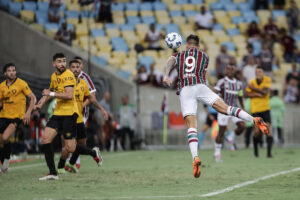 Everaldo Fluminense